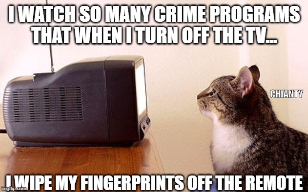 Crime | I WATCH SO MANY CRIME PROGRAMS THAT WHEN I TURN OFF THE TV... CHIANTY; I WIPE MY FINGERPRINTS OFF THE REMOTE | image tagged in remote control | made w/ Imgflip meme maker