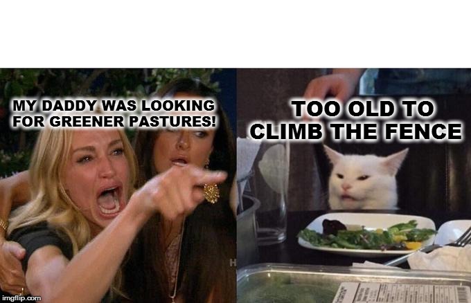 Woman Yelling At Cat | MY DADDY WAS LOOKING FOR GREENER PASTURES! TOO OLD TO 
CLIMB THE FENCE | image tagged in memes,woman yelling at cat | made w/ Imgflip meme maker