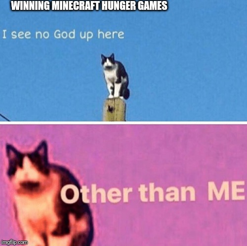 Hail pole cat | WINNING MINECRAFT HUNGER GAMES | image tagged in hail pole cat | made w/ Imgflip meme maker
