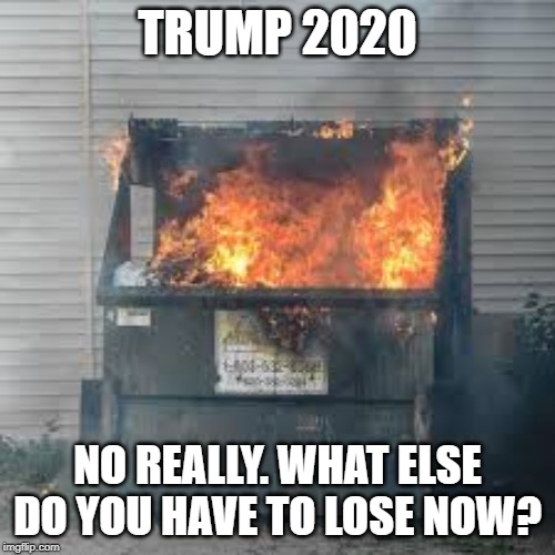 Trump Dumpster Fire | TRUMP 2020; NO REALLY. WHAT ELSE DO YOU HAVE TO LOSE NOW? | image tagged in dumpster fire,donald trump,donald trump approves,trump 2020 | made w/ Imgflip meme maker