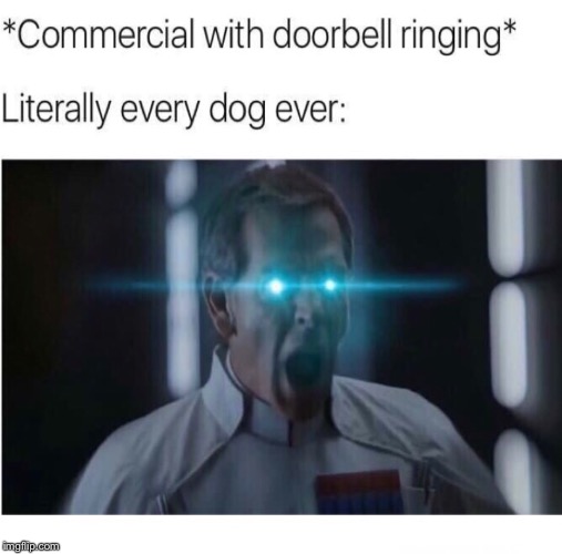WOOF WOOF WOOF | image tagged in this is my achievement not yours,star wars,meme,director krennic | made w/ Imgflip meme maker