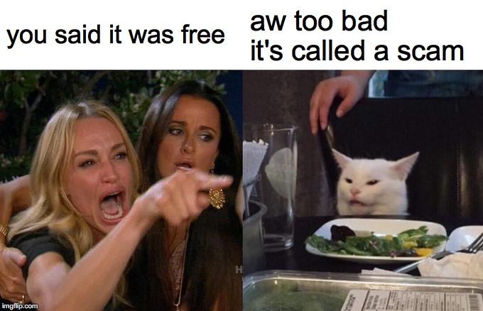 Woman Yelling At Cat Meme | you said it was free aw too bad it's called a scam | image tagged in memes,woman yelling at cat | made w/ Imgflip meme maker