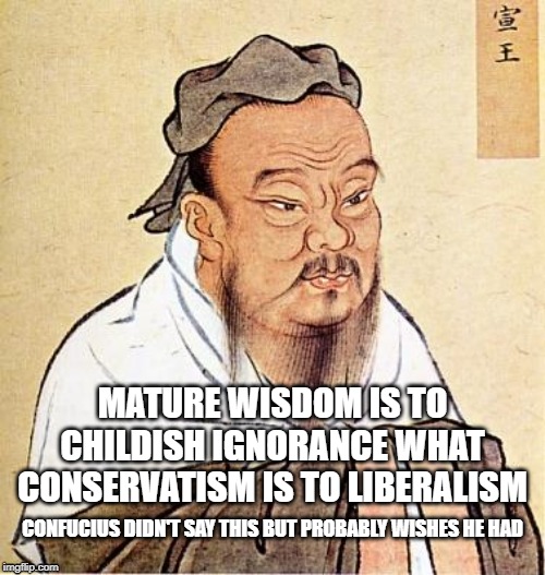 Confucious say | MATURE WISDOM IS TO CHILDISH IGNORANCE WHAT CONSERVATISM IS TO LIBERALISM; CONFUCIUS DIDN'T SAY THIS BUT PROBABLY WISHES HE HAD | image tagged in confucious say | made w/ Imgflip meme maker