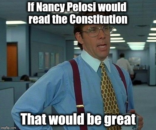 It should be a requirement for her job | If Nancy Pelosi would 
read the Constitution; That would be great | image tagged in memes,that would be great,nancy pelosi,dumb and dumber,wine drinker,i don't know | made w/ Imgflip meme maker