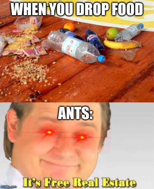 WHEN YOU DROP FOOD; ANTS: | image tagged in its free real estate | made w/ Imgflip meme maker