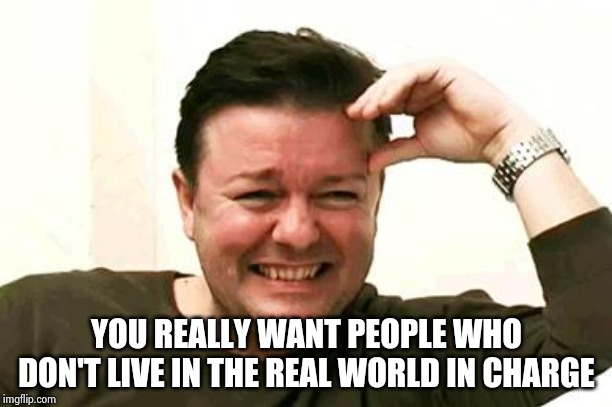 This man is a genius , we should give him citizenship | YOU REALLY WANT PEOPLE WHO DON'T LIVE IN THE REAL WORLD IN CHARGE | image tagged in laughing ricky gervais,snowflakes,hollywood liberals,knowledge,well yes but actually no | made w/ Imgflip meme maker