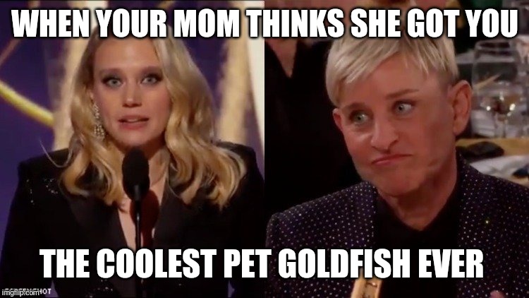 Not Impressed Ellen | WHEN YOUR MOM THINKS SHE GOT YOU; THE COOLEST PET GOLDFISH EVER | image tagged in not impressed ellen | made w/ Imgflip meme maker
