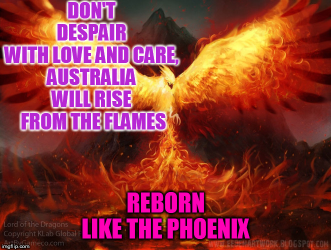 Ft Mac Phoenix | DON'T DESPAIR
WITH LOVE AND CARE,
AUSTRALIA WILL RISE
 FROM THE FLAMES; REBORN
LIKE THE PHOENIX | image tagged in ft mac phoenix | made w/ Imgflip meme maker