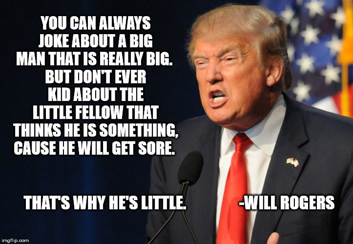 Trump is a little man | YOU CAN ALWAYS JOKE ABOUT A BIG MAN THAT IS REALLY BIG. 
BUT DON'T EVER KID ABOUT THE LITTLE FELLOW THAT THINKS HE IS SOMETHING, CAUSE HE WILL GET SORE. THAT'S WHY HE'S LITTLE.                 -WILL ROGERS | image tagged in trump,donald trump,insulting trump,mean trump,mean old man | made w/ Imgflip meme maker