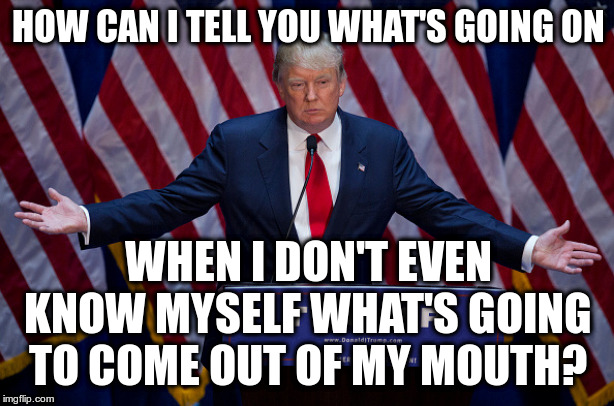 Donald Trump | HOW CAN I TELL YOU WHAT'S GOING ON WHEN I DON'T EVEN KNOW MYSELF WHAT'S GOING TO COME OUT OF MY MOUTH? | image tagged in donald trump | made w/ Imgflip meme maker