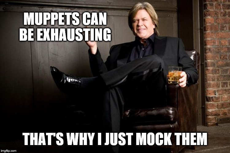 Ron White | MUPPETS CAN BE EXHAUSTING THAT'S WHY I JUST MOCK THEM | image tagged in ron white | made w/ Imgflip meme maker