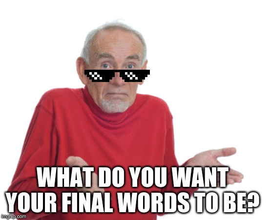 WHAT DO YOU WANT YOUR FINAL WORDS TO BE? | image tagged in memes,pony shrugs | made w/ Imgflip meme maker