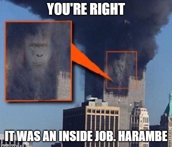 When their invocation of all the people who died on 9/11 in a gun control debate leaves you at a total loss. | YOU'RE RIGHT; IT WAS AN INSIDE JOB. HARAMBE | image tagged in harambe bush 9/11 towers,gun control,9/11,gun rights,guns,politics lol | made w/ Imgflip meme maker