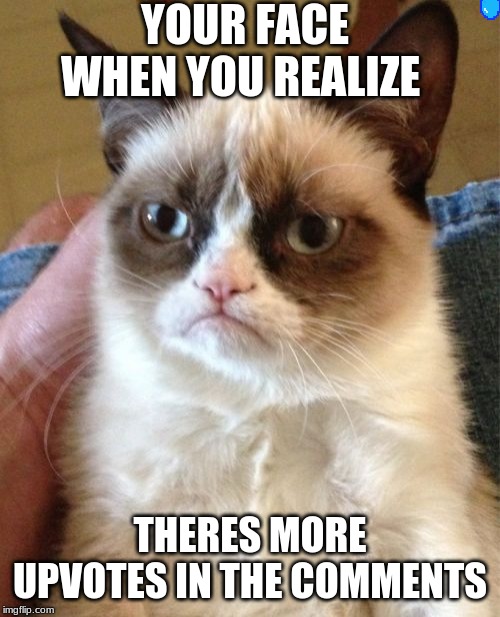 Grumpy Cat | YOUR FACE WHEN YOU REALIZE; THERES MORE UPVOTES IN THE COMMENTS | image tagged in memes,grumpy cat | made w/ Imgflip meme maker