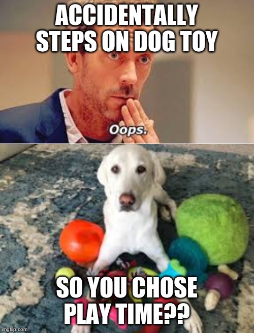 ACCIDENTALLY STEPS ON DOG TOY SO YOU CHOSE PLAY TIME?? | made w/ Imgflip meme maker