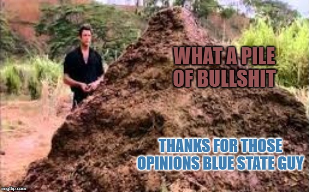 Pile of BS | WHAT A PILE OF BULLSHIT; THANKS FOR THOSE OPINIONS BLUE STATE GUY | image tagged in bs,bullshit,pile of bullshit,blue state,liberal opinion | made w/ Imgflip meme maker