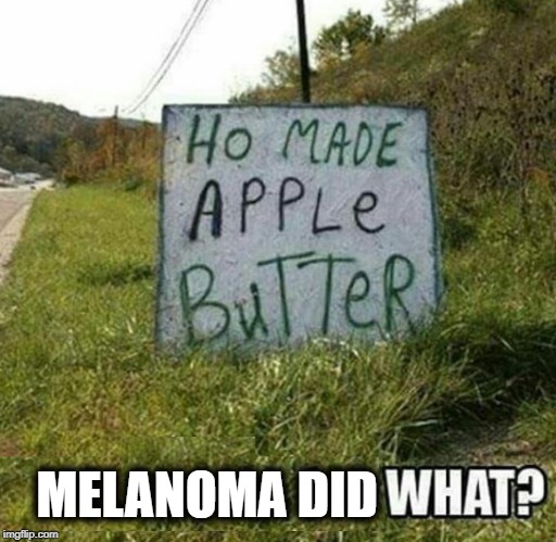 Melania Trump Apple Butter Maker | MELANOMA DID | image tagged in melania trump,donald trump | made w/ Imgflip meme maker
