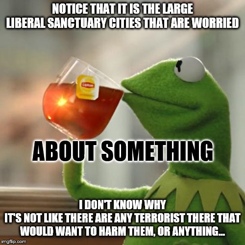 But That's None Of My Business | NOTICE THAT IT IS THE LARGE LIBERAL SANCTUARY CITIES THAT ARE WORRIED; ABOUT SOMETHING; I DON'T KNOW WHY
IT'S NOT LIKE THERE ARE ANY TERRORIST THERE THAT WOULD WANT TO HARM THEM, OR ANYTHING... | image tagged in memes,but thats none of my business,kermit the frog | made w/ Imgflip meme maker