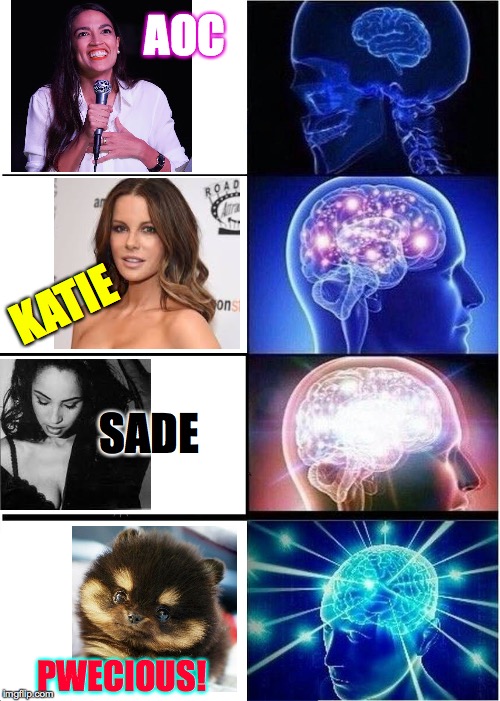 This image was rejected from the Fun stream as being primarily political (eye roll). | AOC; KATIE; SADE; PWECIOUS! | image tagged in memes,expanding brain,kate beckinsale,sade,aoc lovely,cute puppy eyes | made w/ Imgflip meme maker