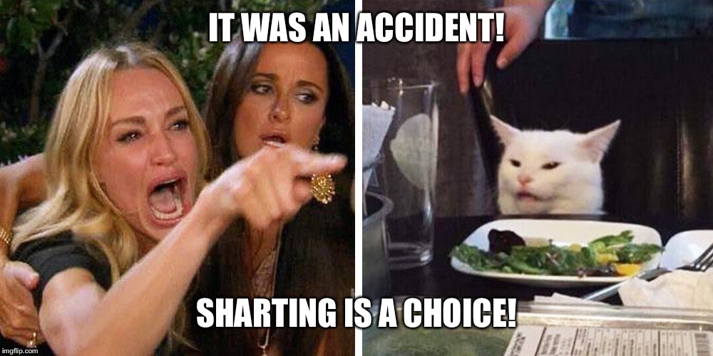 Smudge the cat | IT WAS AN ACCIDENT! SHARTING IS A CHOICE! | image tagged in smudge the cat | made w/ Imgflip meme maker