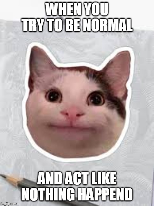 "normal" cat | WHEN YOU TRY TO BE NORMAL; AND ACT LIKE NOTHING HAPPEND | image tagged in uhhhhh | made w/ Imgflip meme maker