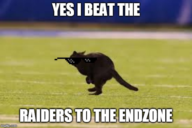 CAT TEAM | YES I BEAT THE; RAIDERS TO THE ENDZONE | image tagged in football | made w/ Imgflip meme maker