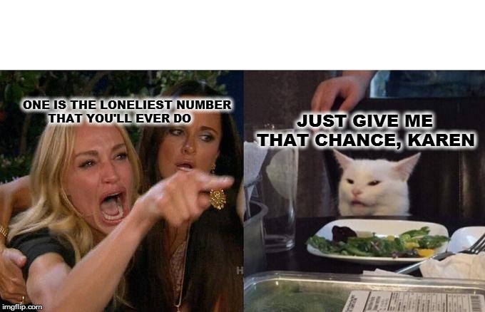 Woman Yelling At Cat | ONE IS THE LONELIEST NUMBER 
       THAT YOU'LL EVER DO; JUST GIVE ME 
THAT CHANCE, KAREN | image tagged in memes,woman yelling at cat | made w/ Imgflip meme maker
