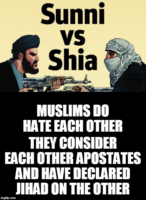 MUSLIMS DO HATE EACH OTHER THEY CONSIDER EACH OTHER APOSTATES AND HAVE DECLARED JIHAD ON THE OTHER | image tagged in blank black | made w/ Imgflip meme maker