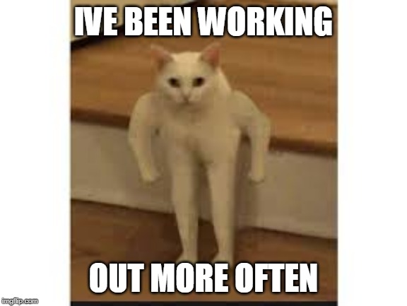 strong cat | IVE BEEN WORKING; OUT MORE OFTEN | image tagged in big boi | made w/ Imgflip meme maker