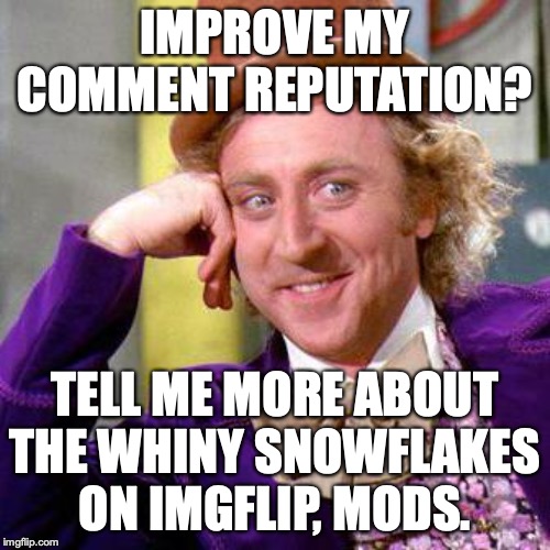 Maybe it's time for liberals to put on the big girl panties. | IMPROVE MY COMMENT REPUTATION? TELL ME MORE ABOUT THE WHINY SNOWFLAKES ON IMGFLIP, MODS. | image tagged in 2020,facists,liberals,whiners,snowflakes,crybabies | made w/ Imgflip meme maker