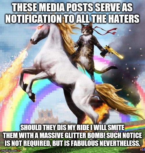 Welcome To The Internets Meme | THESE MEDIA POSTS SERVE AS NOTIFICATION TO ALL THE HATERS; SHOULD THEY DIS MY RIDE I WILL SMITE THEM WITH A MASSIVE GLITTER BOMB! SUCH NOTICE IS NOT REQUIRED, BUT IS FABULOUS NEVERTHELESS. | image tagged in memes,welcome to the internets | made w/ Imgflip meme maker