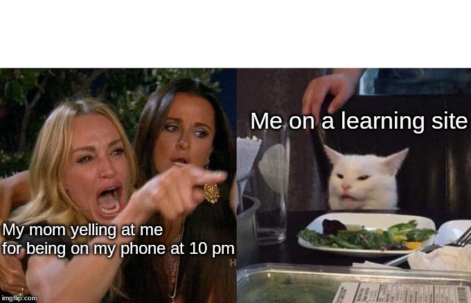 Woman Yelling At Cat | Me on a learning site; My mom yelling at me for being on my phone at 10 pm | image tagged in memes,woman yelling at cat | made w/ Imgflip meme maker