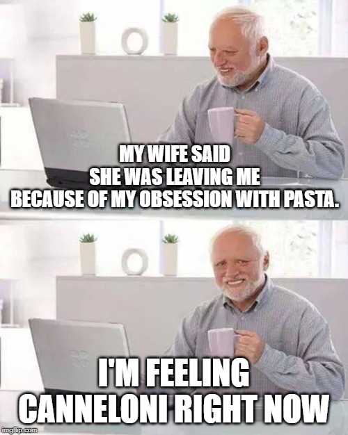 canneloni blues | MY WIFE SAID SHE WAS LEAVING ME BECAUSE OF MY OBSESSION WITH PASTA. I'M FEELING CANNELONI RIGHT NOW | image tagged in memes,hide the pain harold | made w/ Imgflip meme maker