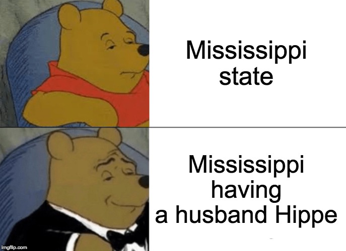 Tuxedo Winnie The Pooh Meme | Mississippi state Mississippi having a husband Hippe | image tagged in memes,tuxedo winnie the pooh | made w/ Imgflip meme maker