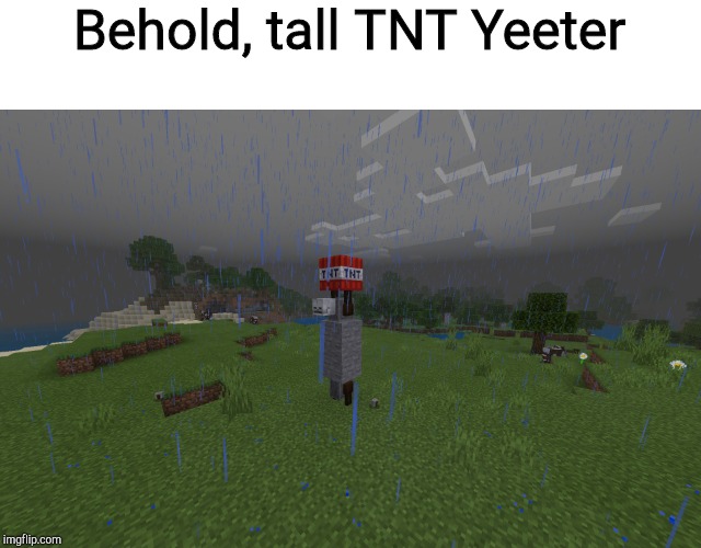 Tall Yeeter | Behold, tall TNT Yeeter | image tagged in tall yeeter | made w/ Imgflip meme maker