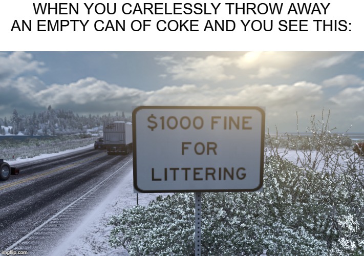 WHEN YOU CARELESSLY THROW AWAY AN EMPTY CAN OF COKE AND YOU SEE THIS: | image tagged in littering,stupid signs | made w/ Imgflip meme maker