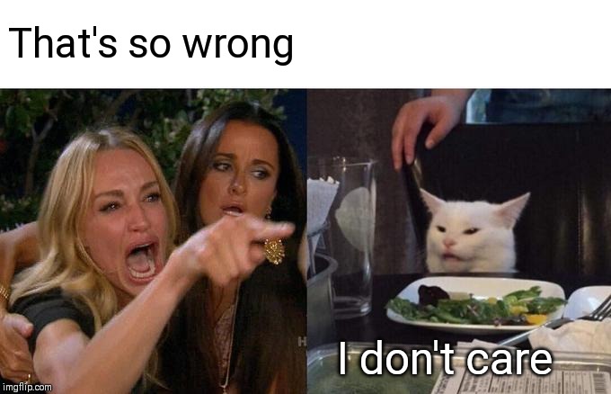 Woman Yelling At Cat Meme | That's so wrong I don't care | image tagged in memes,woman yelling at cat | made w/ Imgflip meme maker