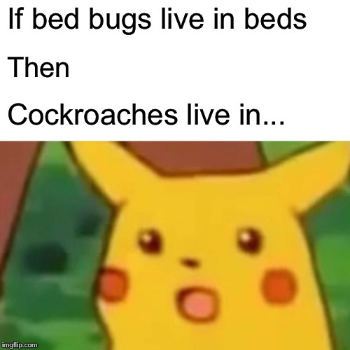 Surprised Pikachu | If bed bugs live in beds; Then; Cockroaches live in... | image tagged in memes,surprised pikachu | made w/ Imgflip meme maker