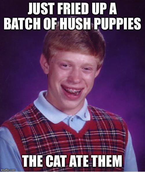 Bad Luck Brian Meme | JUST FRIED UP A BATCH OF HUSH PUPPIES; THE CAT ATE THEM | image tagged in memes,bad luck brian | made w/ Imgflip meme maker