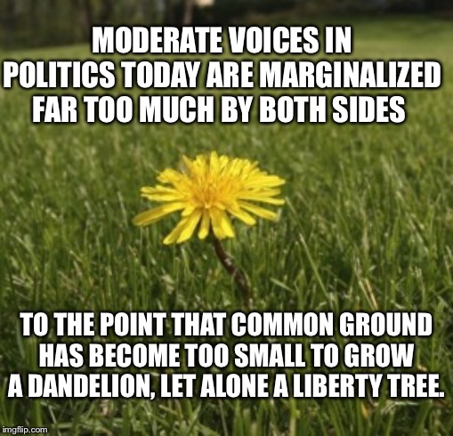 The incredible shrinking common ground | MODERATE VOICES IN POLITICS TODAY ARE MARGINALIZED FAR TOO MUCH BY BOTH SIDES; TO THE POINT THAT COMMON GROUND HAS BECOME TOO SMALL TO GROW A DANDELION, LET ALONE A LIBERTY TREE. | image tagged in dandelion,liberty tree,politics,political meme | made w/ Imgflip meme maker