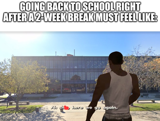 I Can Relate | GOING BACK TO SCHOOL RIGHT AFTER A 2-WEEK BREAK MUST FEEL LIKE: | image tagged in high school,memes,life sucks | made w/ Imgflip meme maker