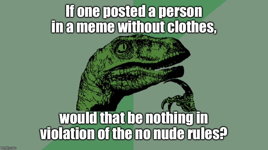 A paradox at the nudist colony | If one posted a person in a meme without clothes, would that be nothing in violation of the no nude rules? | image tagged in philosophy dinosaur,no nudes,imgflip rules,violation,nothing | made w/ Imgflip meme maker