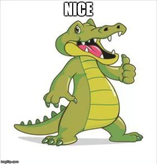 thumbs | NICE | image tagged in thumbs | made w/ Imgflip meme maker