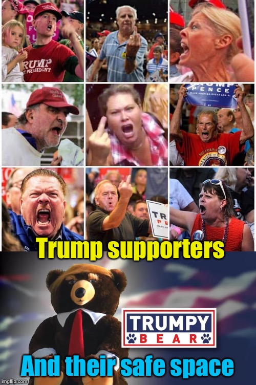Trump supporters find their safe space | Trump supporters; And their safe space | image tagged in triggered trump supporters,trumpy bear | made w/ Imgflip meme maker