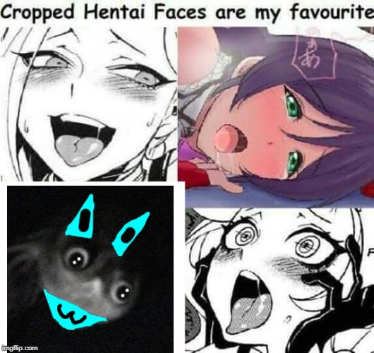 dont lewd the waifu 3 | image tagged in cropped hentai faces are my favourite,lewd,ahegao,hentai,unnerving,lewd faces | made w/ Imgflip meme maker