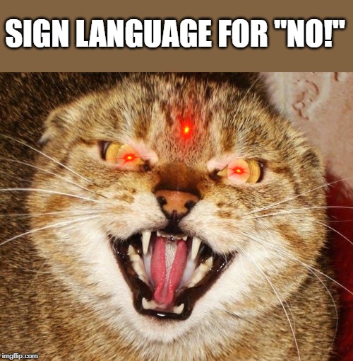 sign language for NO | SIGN LANGUAGE FOR "NO!" | image tagged in sign language for no | made w/ Imgflip meme maker