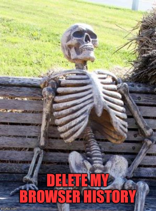 Waiting Skeleton Meme | DELETE MY BROWSER HISTORY | image tagged in memes,waiting skeleton | made w/ Imgflip meme maker