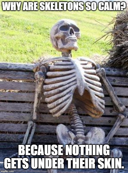 Waiting Skeleton Meme | WHY ARE SKELETONS SO CALM? BECAUSE NOTHING GETS UNDER THEIR SKIN. | image tagged in memes,waiting skeleton | made w/ Imgflip meme maker