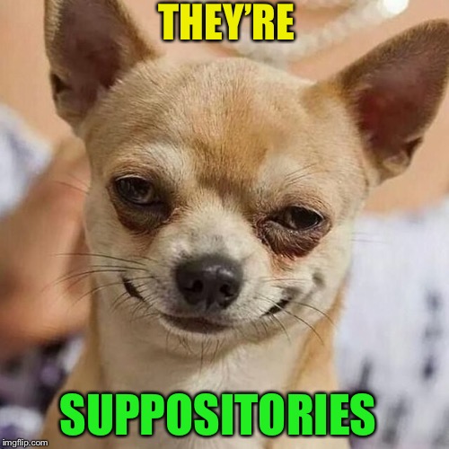 Smirking Dog | THEY’RE SUPPOSITORIES | image tagged in smirking dog | made w/ Imgflip meme maker