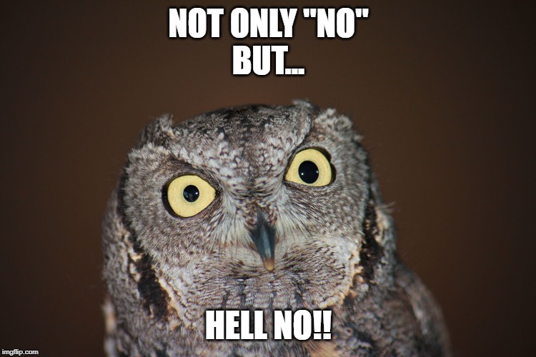 Had it with... | NOT ONLY "NO"
BUT... HELL NO!! | image tagged in incredulous,miffed,pissed off | made w/ Imgflip meme maker